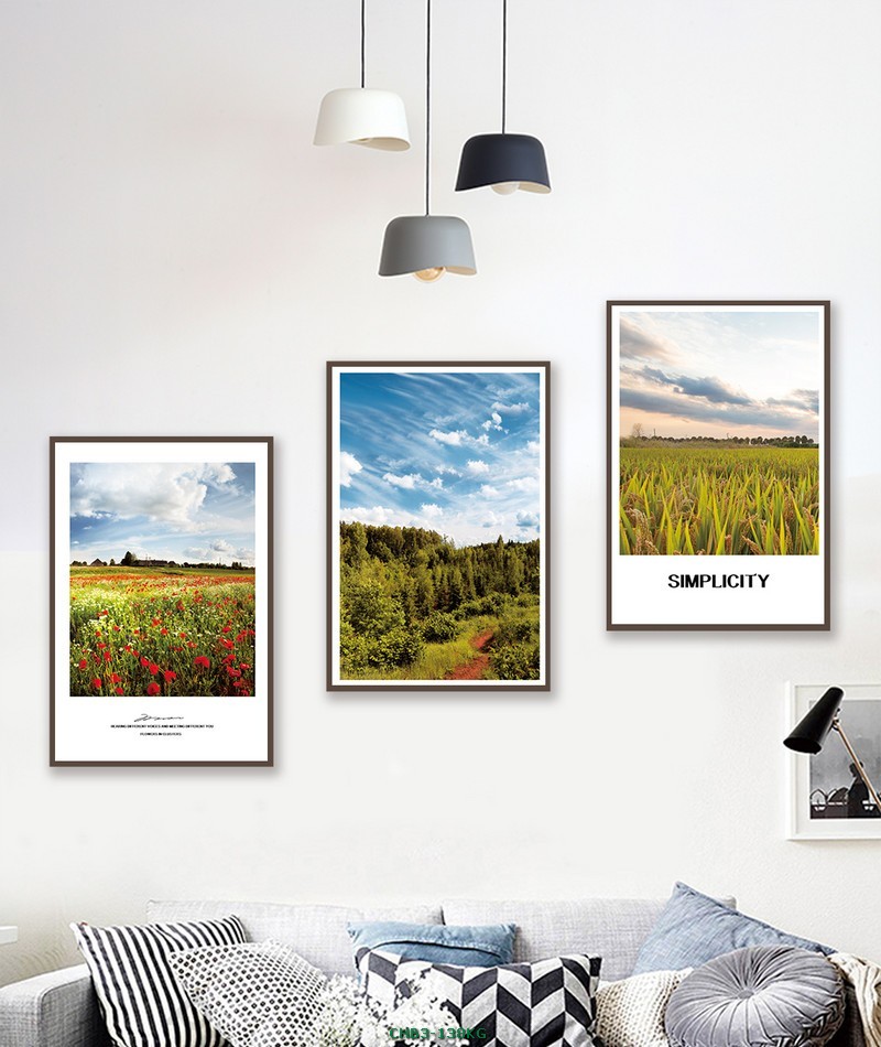 Cánh đồng hoa CHB3-138KG